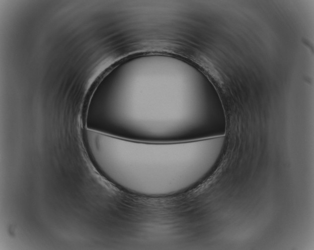 X0000094080936200710190914