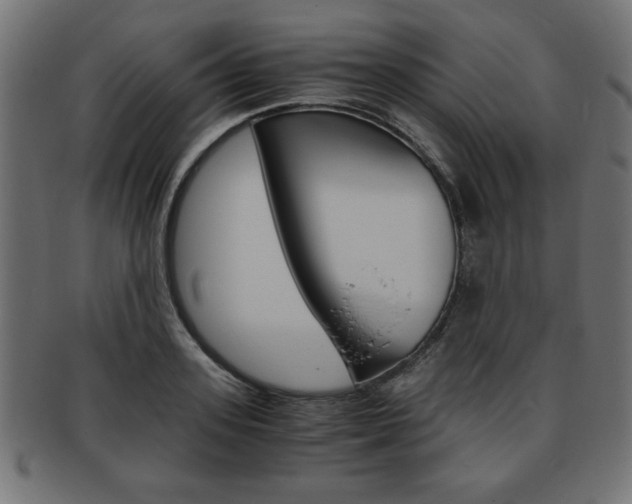 X0000094080939200710190914