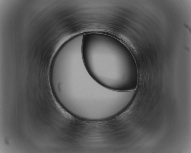 X0000094080942200710190914