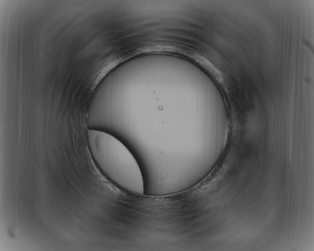 X0000094080945200710190914