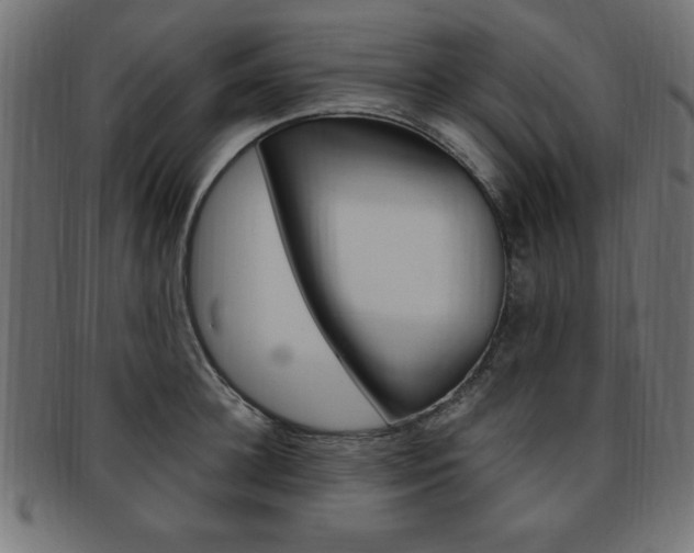 X0000094080948200710190914