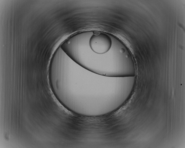 X0000094080949200710190914
