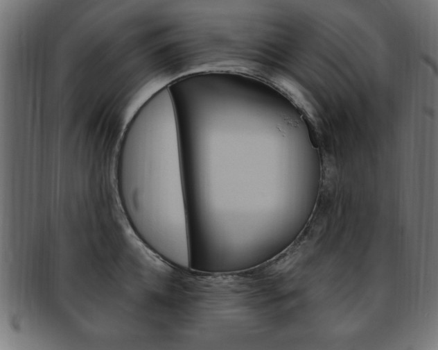 X0000094080952200710190914