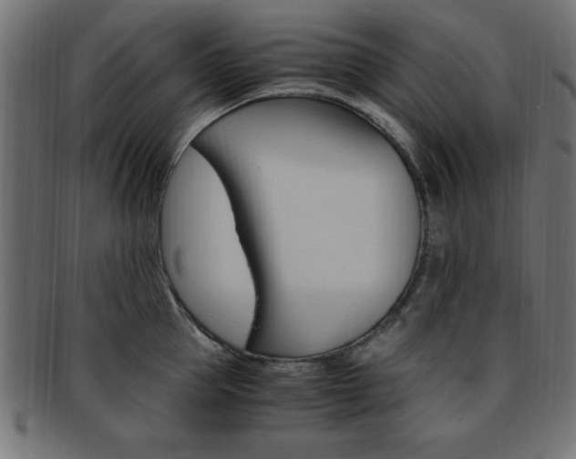 X0000094080953200710190915