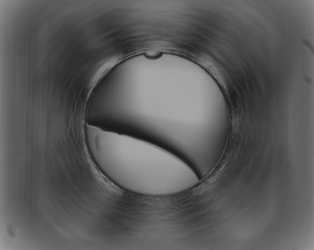 X0000094080954200710190915