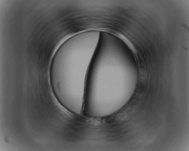 X0000094080955200710190915