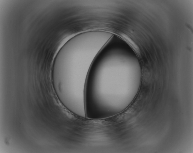 X0000094080956200710190915