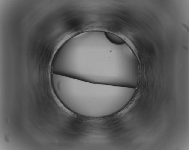 X0000094080957200710190915