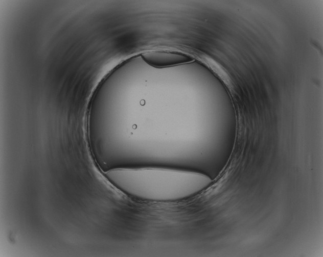 X0000094080958200710190915