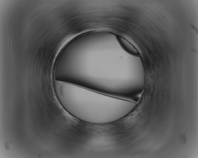 X0000094080959200710190915