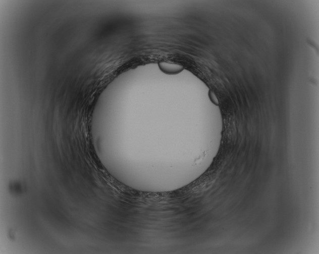 X0000094080962200710190914