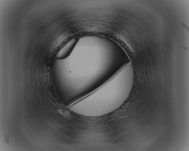 X0000094080968200710190914