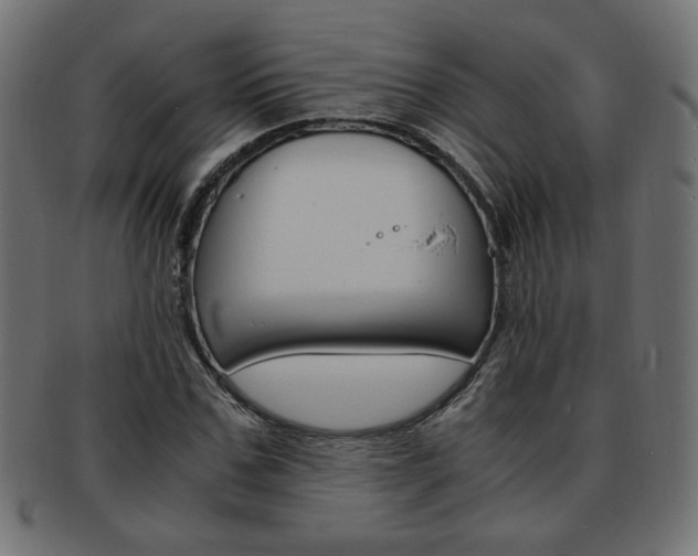 X0000094080971200710190914
