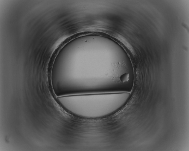 X0000094080972200710190914