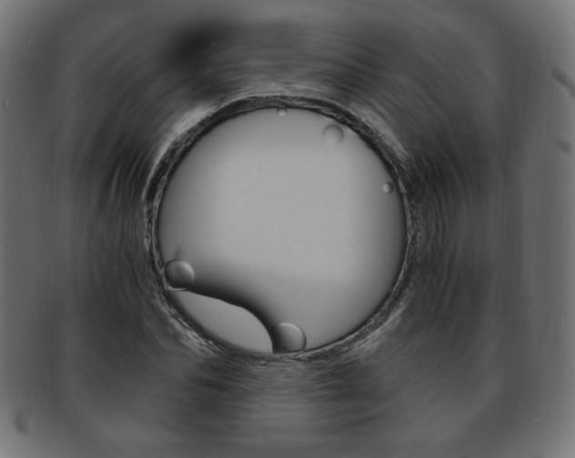 X0000094080974200710190914