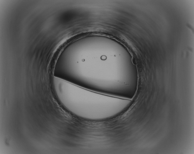 X0000094080975200710190914