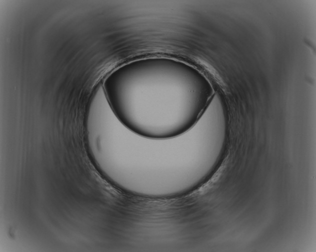 X0000094080977200710190914