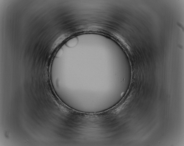 X0000094080978200710190914