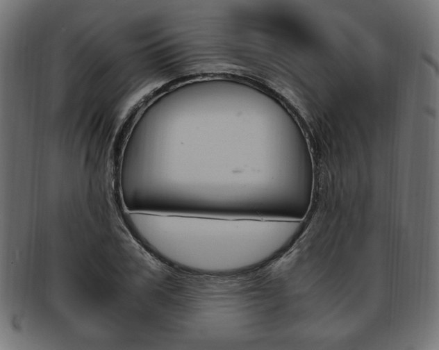 X0000094080979200710190914