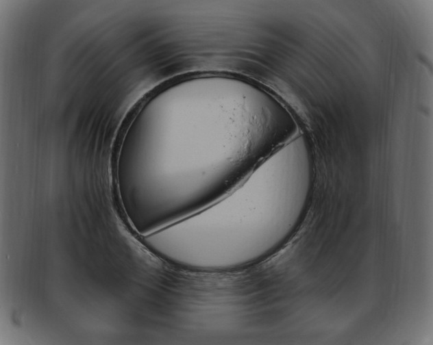 X0000094080980200710190914