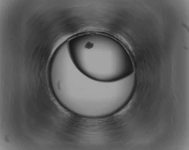 X0000094080981200710190914