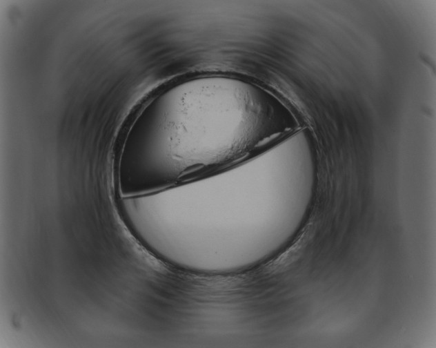 X0000094080984200710190914