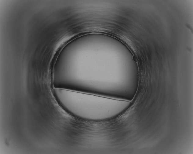 X0000094080987200710190914