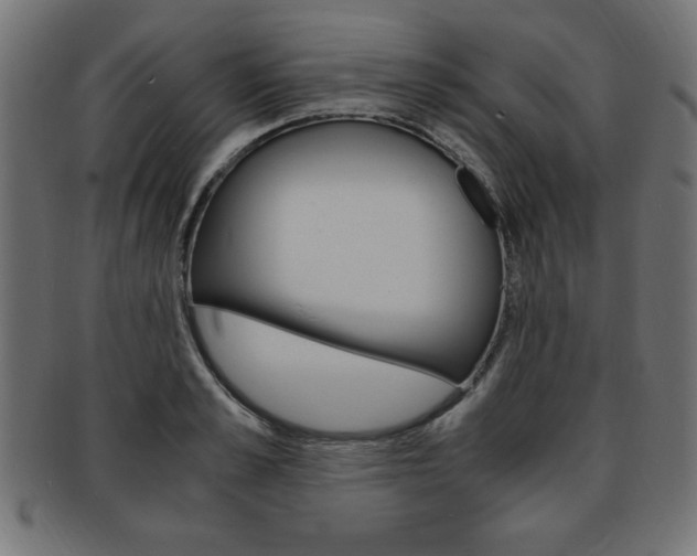 X0000094080989200710190914