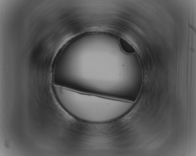 X0000094080992200710190914