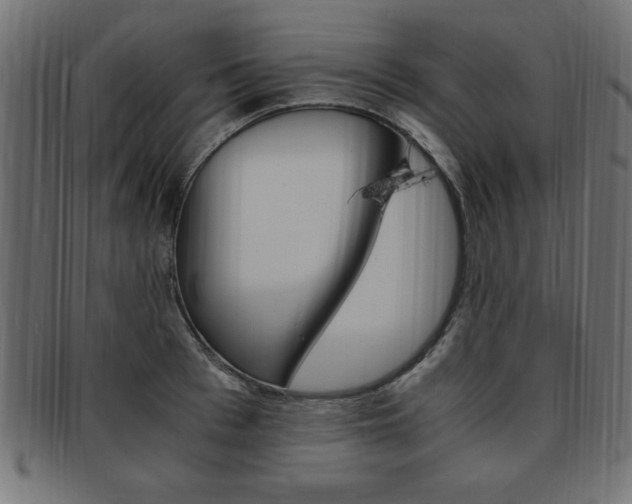 X0000094080993200710190914