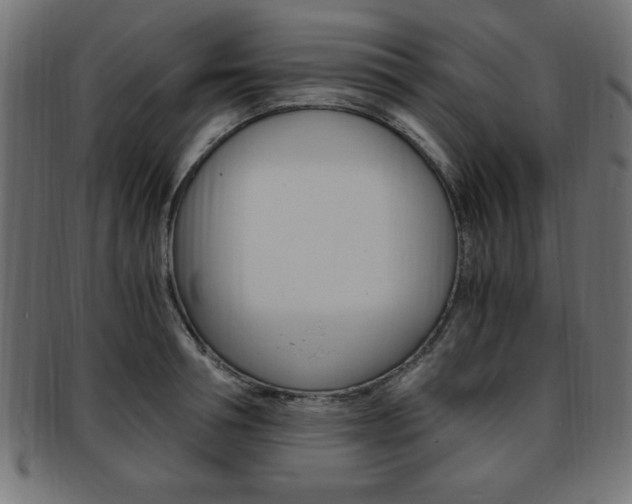 X0000094080994200710190913