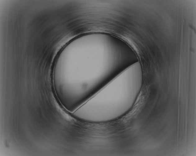 X0000094080995200710190913