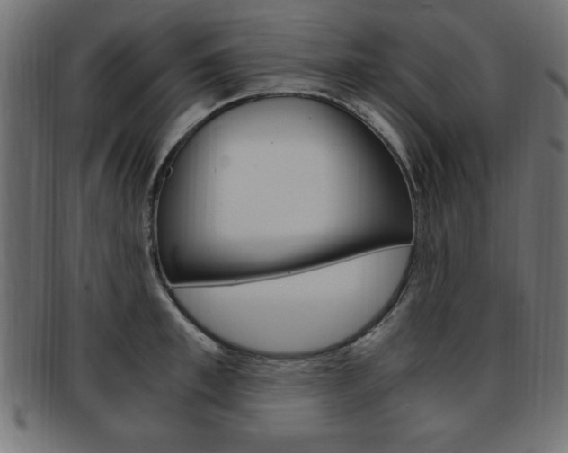 X0000094080997200710190913