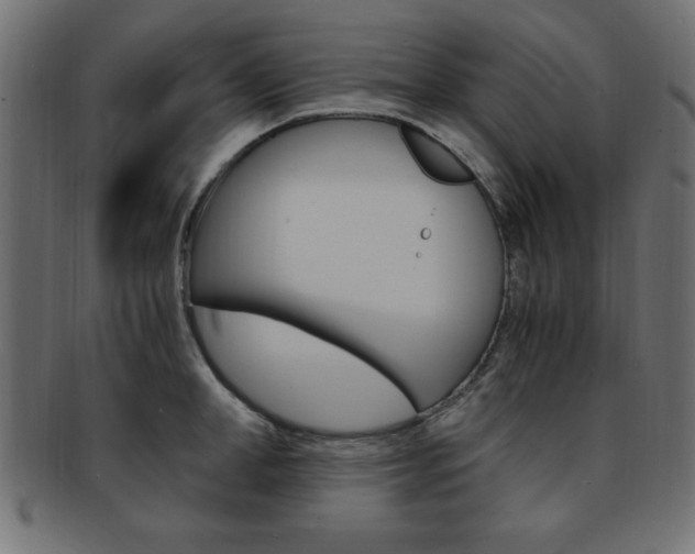 X0000094080998200710190913