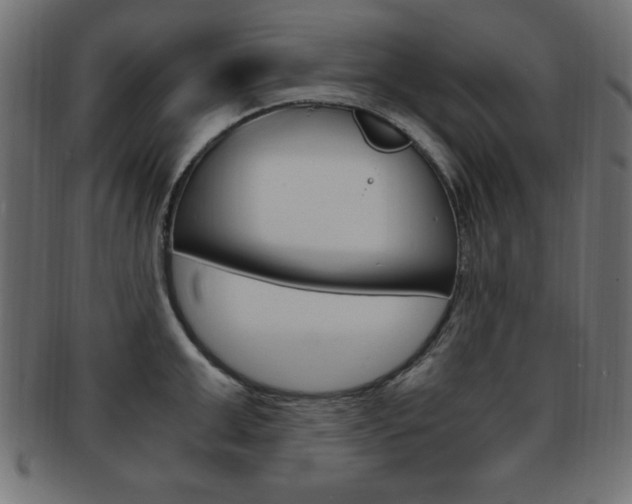X0000094080999200710190913