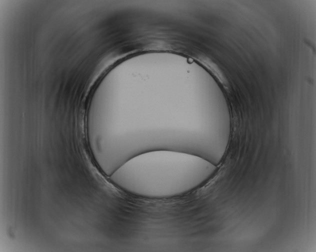 X0000094081000200710190913