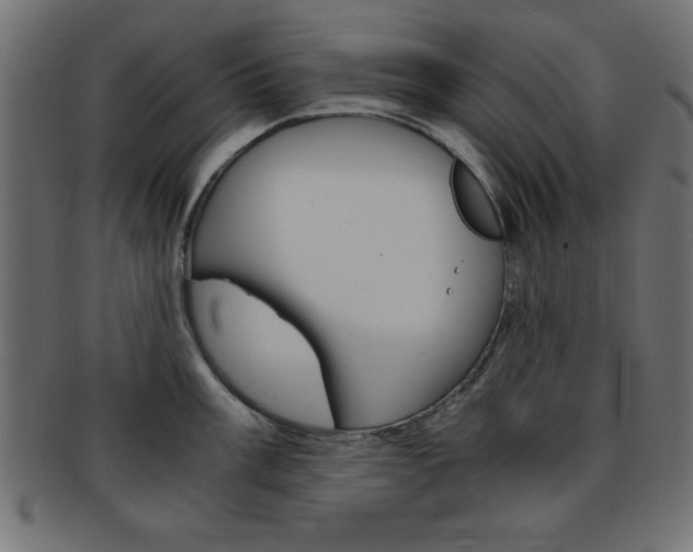 X0000094081003200710190913