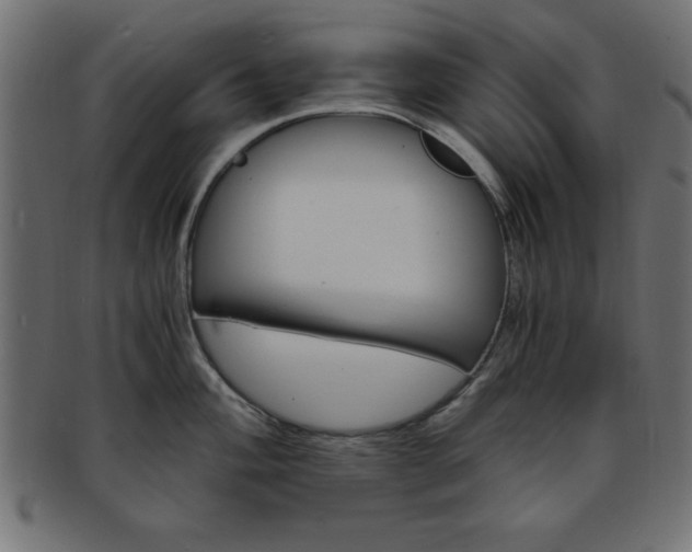 X0000094081004200710190913
