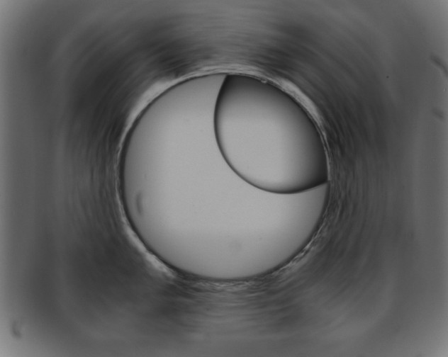 X0000094081005200710190913