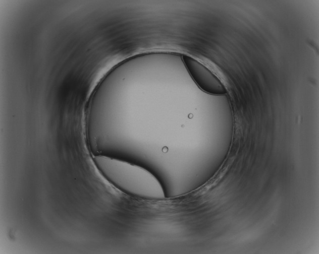 X0000094081006200710190913