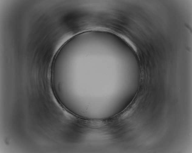 X0000094081007200710190913