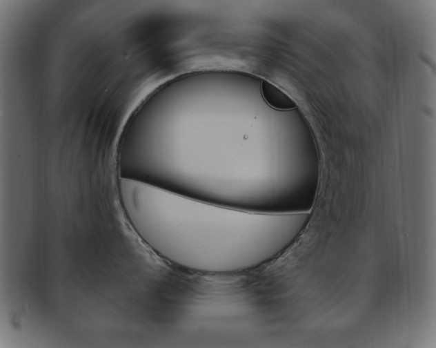 X0000094081008200710190913