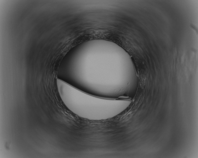 X0000094081010200710190912