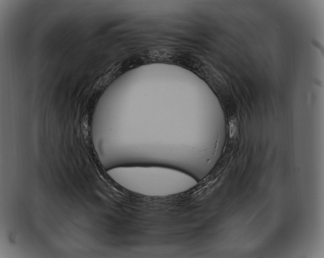 X0000094081011200710190913