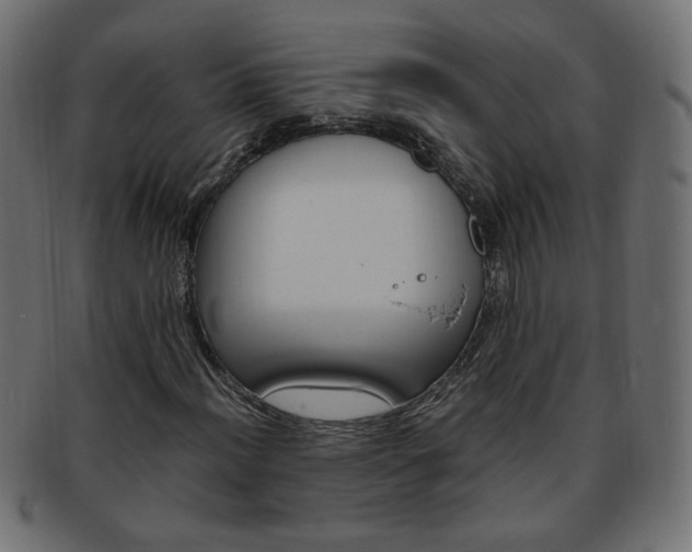 X0000094081012200710190913