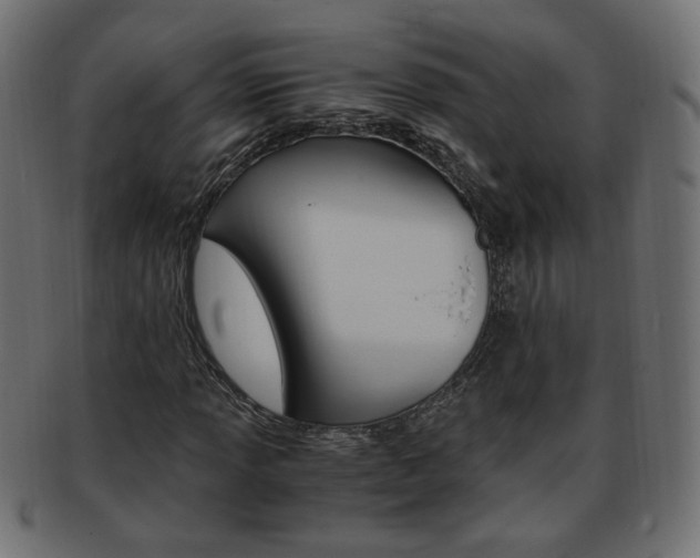 X0000094081013200710190913
