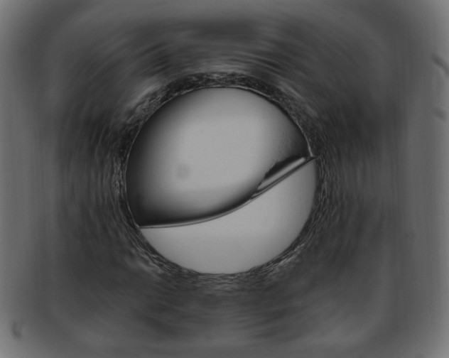 X0000094081014200710190913