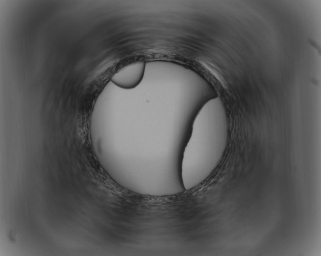 X0000094081015200710190913