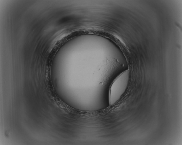 X0000094081016200710190913