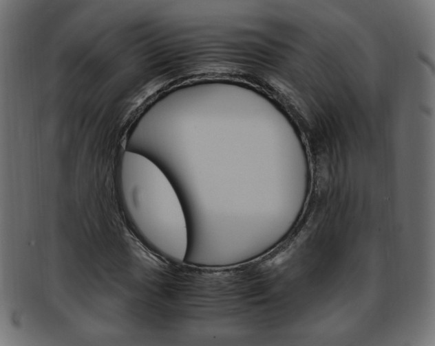 X0000094081017200710190913